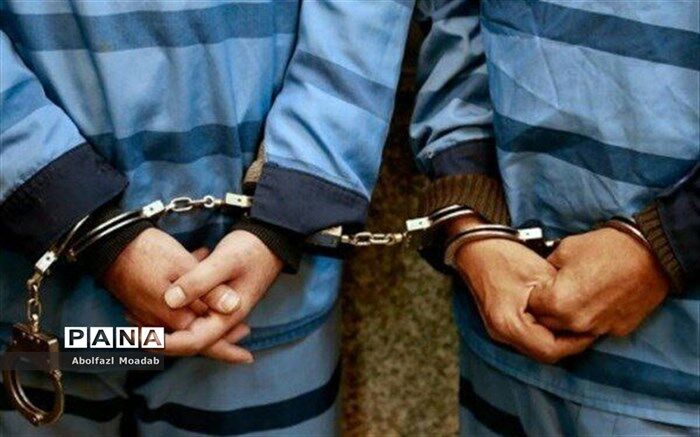 افزایش 8 درصدی کشف سرقت در طرح نوروزی پلیس