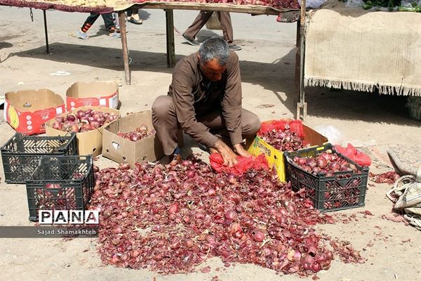 زندگی در زیست بوم خاکی خوزستان