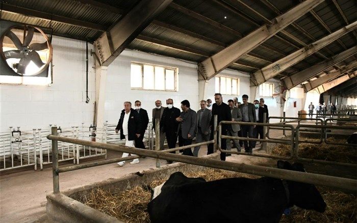 احداث بزرگترین واحد تولید گوشت مرغ کشور در آذربایجان‌شرقی