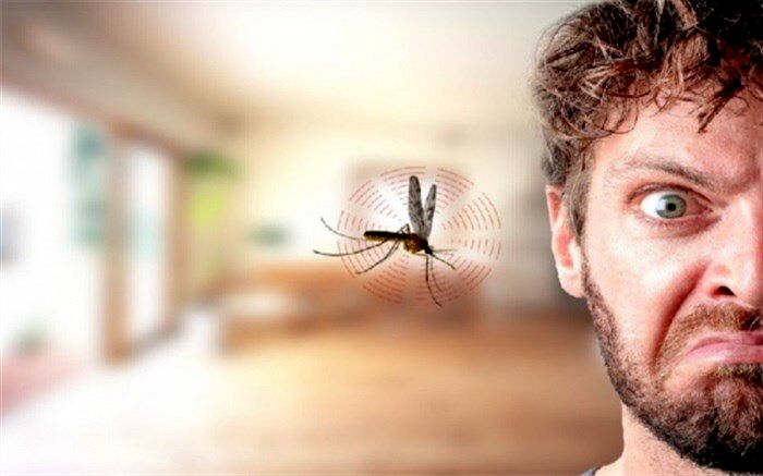 چگونه از نیش پشه‌ها در امان باشیم؟