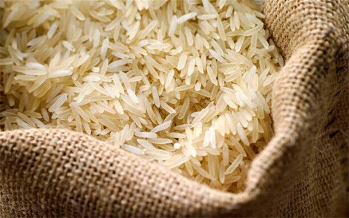 احتمال رشد قیمت برنج وارداتی