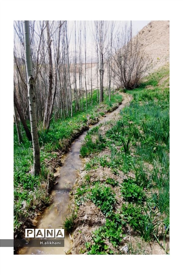 هنرنمایی بهار در روستای دره‌بید