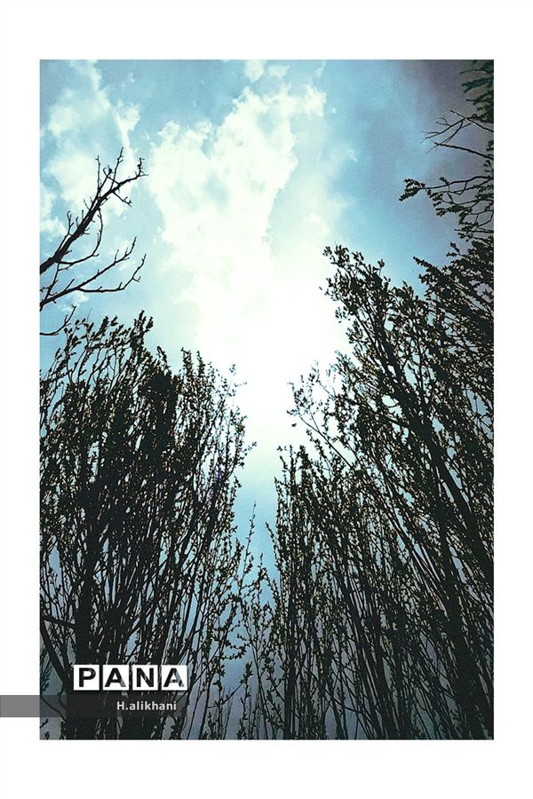 هنرنمایی بهار در روستای دره‌بید