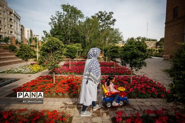 بازدید رسانه‌ای از پارک‌های مادر و کودک و مراسم افطار شهردار تهران با پاکبانان