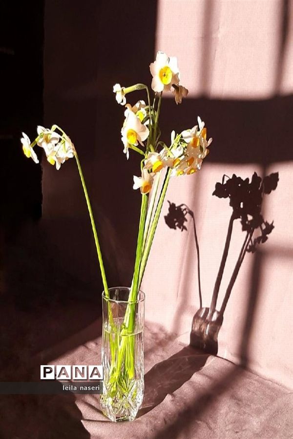 تصاویرمنتخب عکاسان دانش‌آموز کانون پرورش فکری کرمانشاه