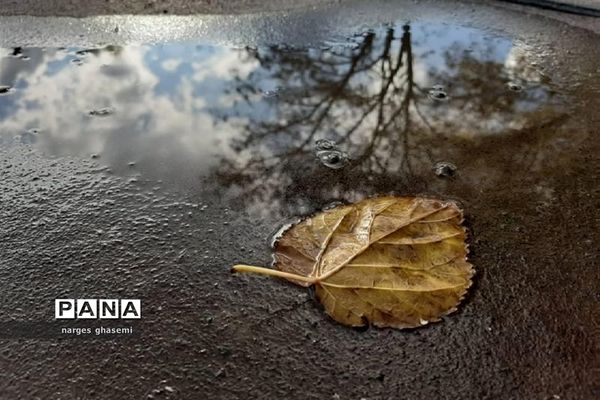 تصاویرمنتخب عکاسان دانش‌آموز کانون پرورش فکری کرمانشاه