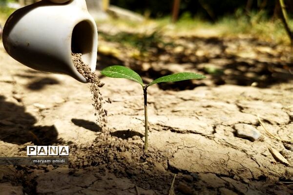تصاویرمنتخب عکاسان دانش‌آموز کانون پرورش فکری کرمانشاه
