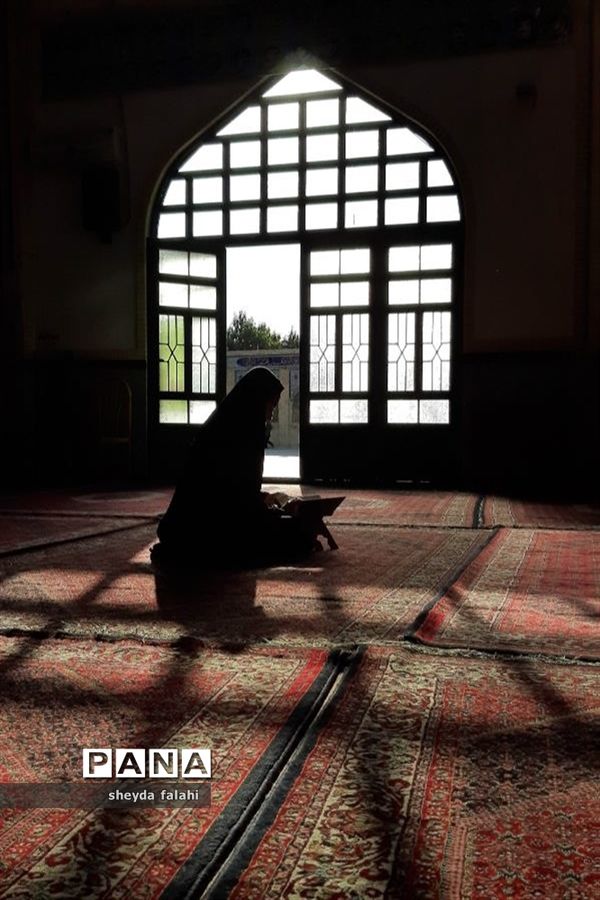 تصاویرمنتخب عکاسان دانش‌آموز کانون پرورش فکری کرمانشاه