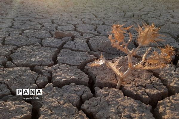 تصاویرمنتخب عکاسان دانش‌آموز کانون پرورش فکری کرمانشاه