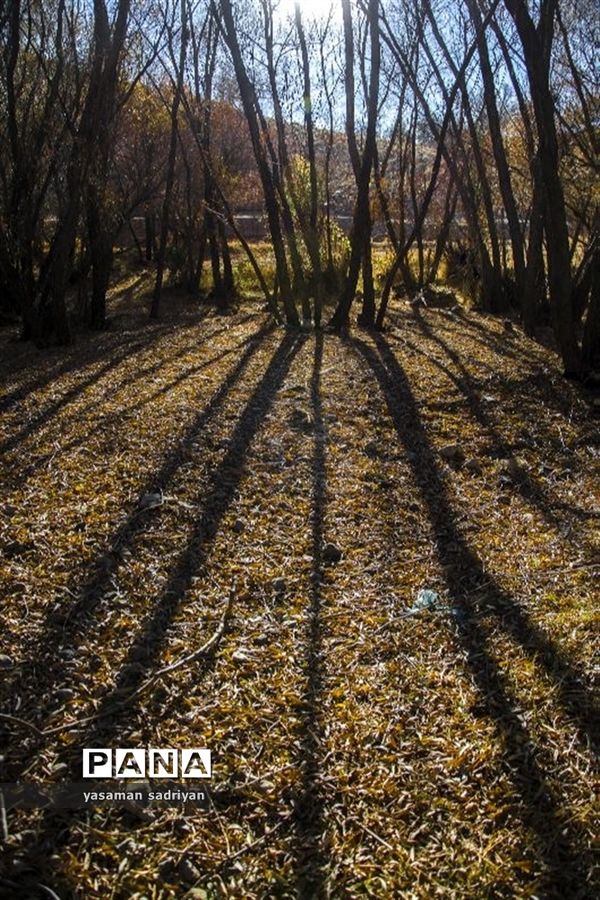 تصاویرمنتخب عکاسان دانش‌آموز کانون پرورش فکری کرمانشاه