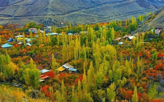 سرچشمه تربیت دوستداران محیط‌زیست از مدارس و خانواده ها است