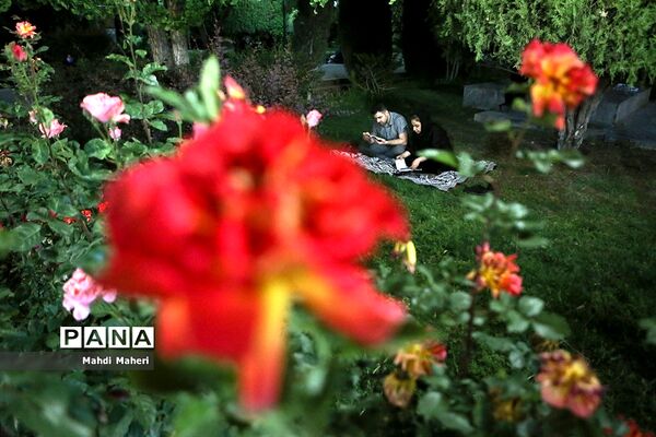 احیای شب نوزدهم ماه رمضان در دانشگاه تهران