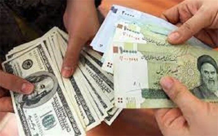 دولت هنوز تصمیمی برای حذف ارز ترجیحی نگرفته است