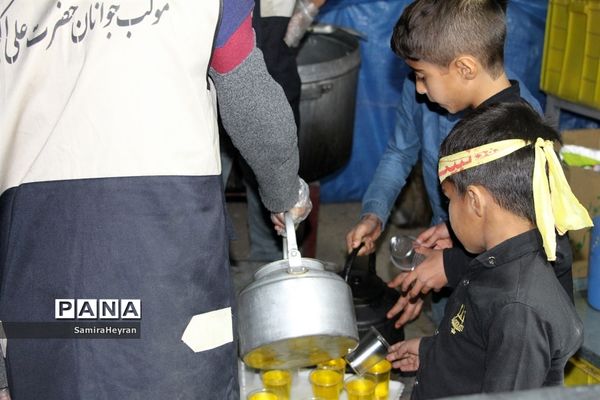 برپایی موکب جوانان حضرت علی اکبر(ع)  در خراسان جنوبی