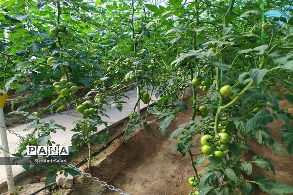 شوق انتخاب در بازدید دانش‌آموزان دبیرستان شاهد کاشمر از مرکز آموزش فنی و حرفه‌ای شهرستان