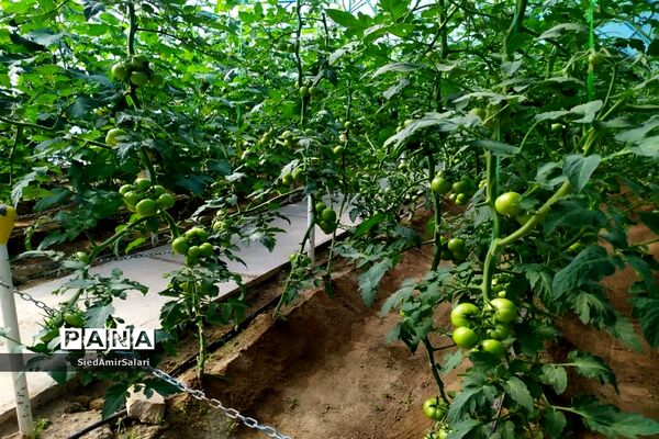 شوق انتخاب در بازدید دانش‌آموزان دبیرستان شاهد کاشمر از مرکز آموزش فنی و حرفه‌ای شهرستان