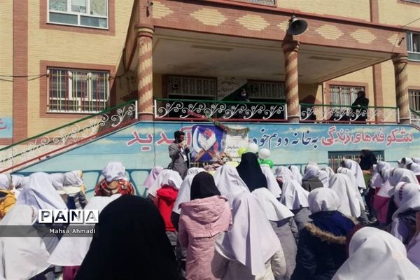 تقدیر از دانش‌آموزان فعال دبستان شهید‌سیفی شهرستان رباط کریم