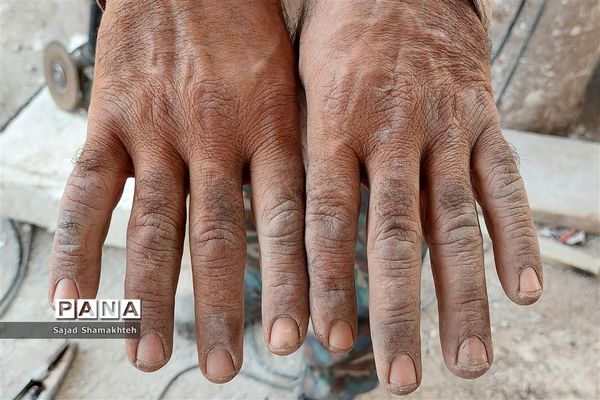 کارگران مشغول کارند