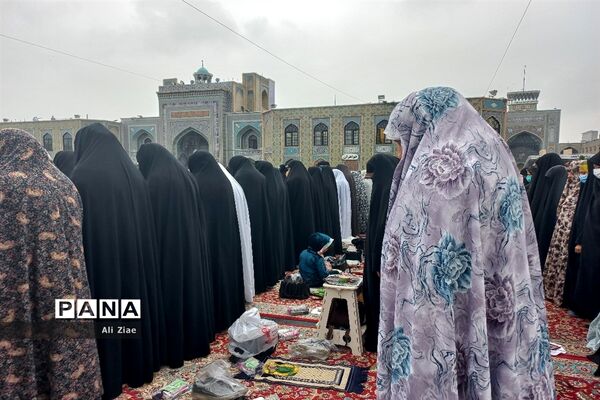 نماز عید فطر در حرم مطهر رضوی
