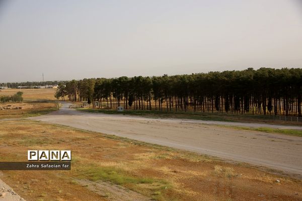 بازدید گردشگران از تخت جمشید در روز شیراز