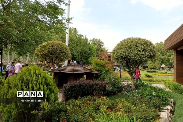 جشنواره گل‌های لاله