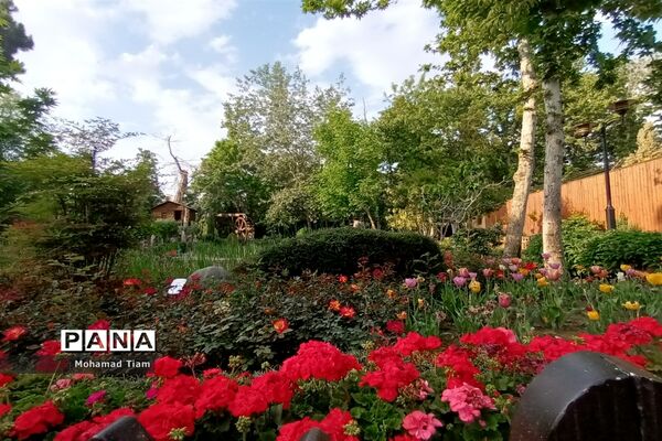 جشنواره گل‌های لاله