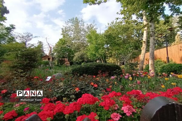 جشنواره گل‌های لاله