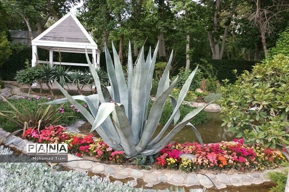 جشنواره گل‌های لاله