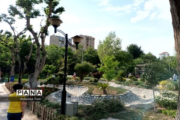 جشنواره گل‌های لاله