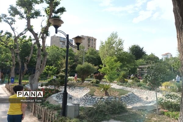 جشنواره گل‌های لاله
