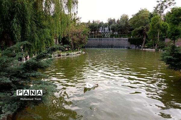 جشنواره گل‌های لاله