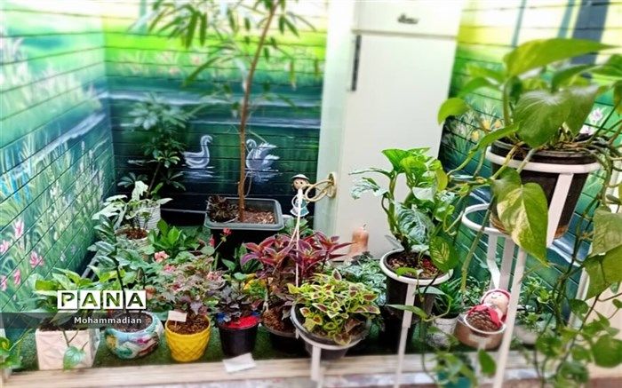 فستیوال گل‌ و گلدان در دبیرستان کوشای نیشابور برگزار شد