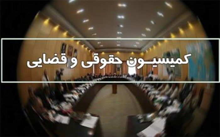 تصویب کلیات لایحه پلیس ویژه اطفال در کمیسیون حقوقی مجلس