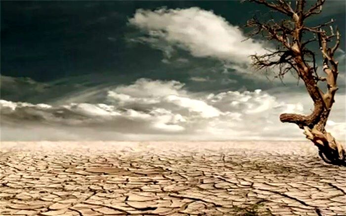 70 درصد مساحت کشور درگیر خشکسالی شدید است؛ تبعات خشکسالی بر حیات وحش