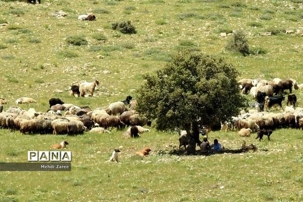 جلوه‌های طبیعت چیکان