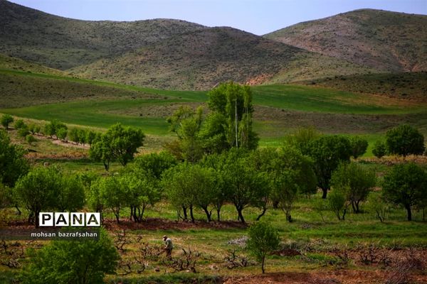 طبیعت بهاری آبگرم قزوین