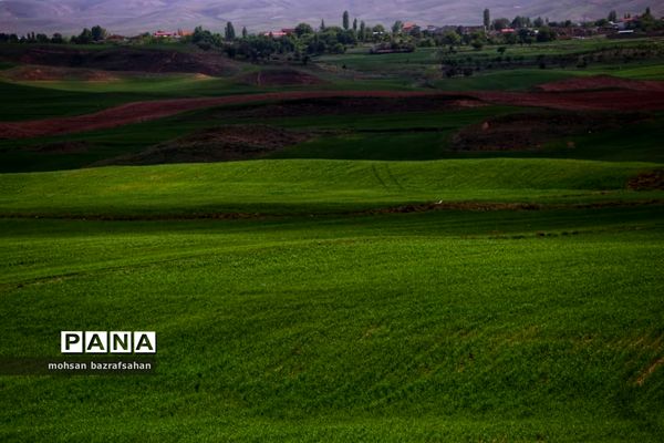 طبیعت بهاری آبگرم قزوین