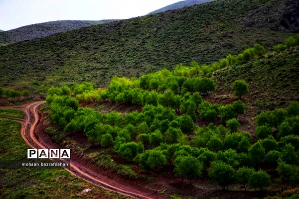 طبیعت بهاری آبگرم قزوین
