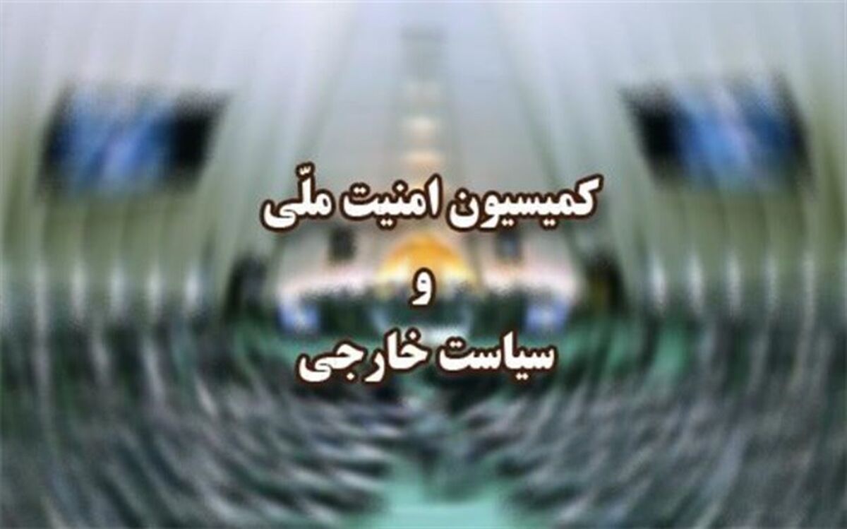 وزیر کشور برای ارائه گزارش درباره ساماندهی اتباع خارجی در کمیسیون امنیت ملی حاضر می‌شود