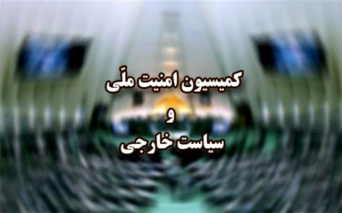 وزیر کشور برای ارائه گزارش درباره ساماندهی اتباع خارجی در کمیسیون امنیت ملی حاضر می‌شود