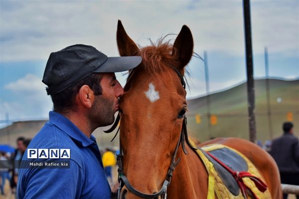 جشنواره‌ای با فرهنگ غنی عشایر