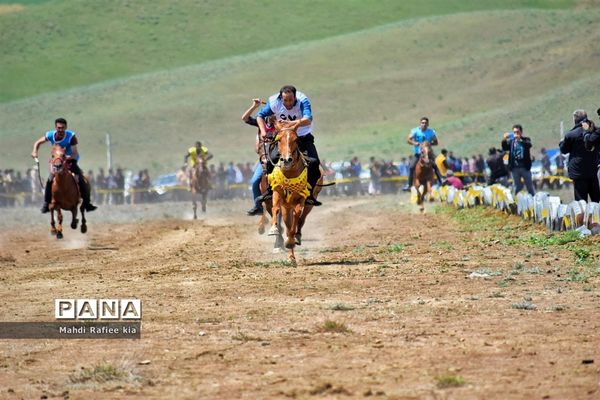 جشنواره‌ای با فرهنگ غنی عشایر