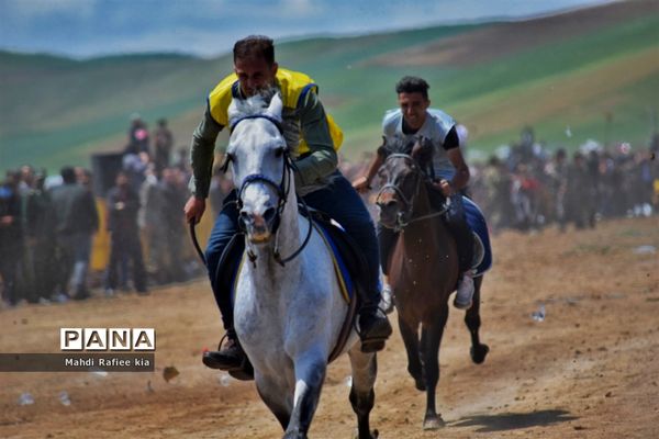 جشنواره‌ای با فرهنگ غنی عشایر