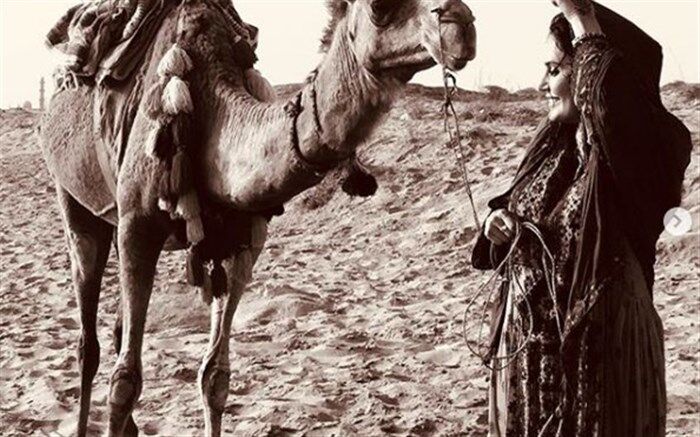الناز شاکردوست جایزه بازیگری و نیکی کریمی، جایزه کارگردانی گرفت