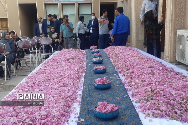 کاشان پایتخت گل و گلاب