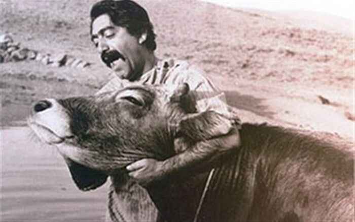 جشنواره فیلم‌های ایرانی در زوریخ با «گاو» مهرجویی افتتاح می‌شود