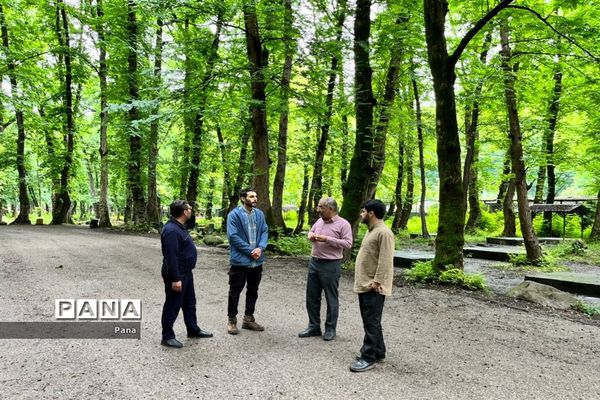 بازدید مدیرکل آموزش و پرورش استان فارس از پارک جنگلی فین