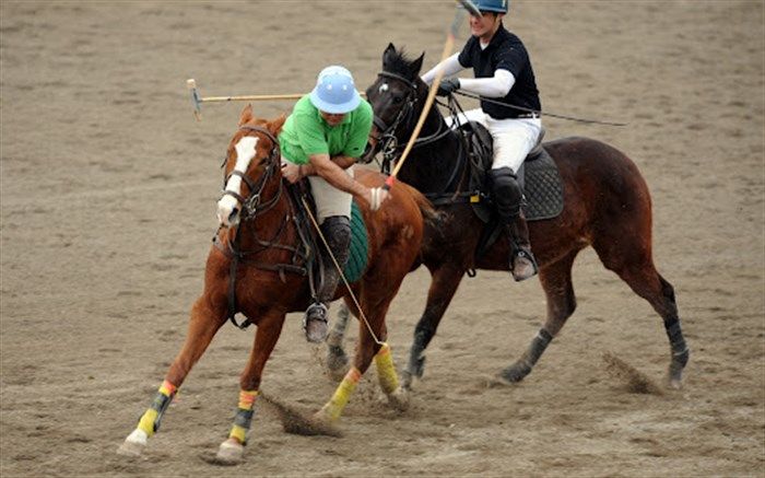 ریاست نوزایی در فدراسیون چوگان مطابق «مُر» قانون است