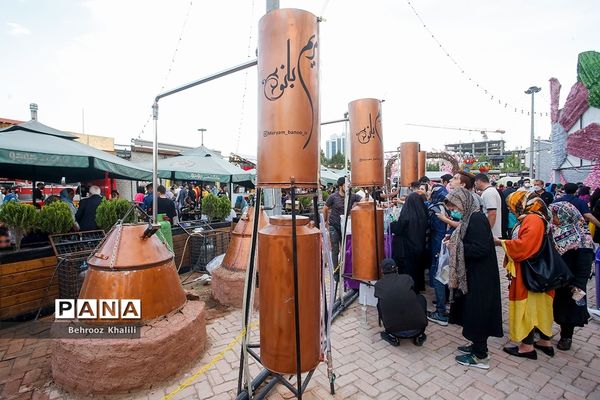 جشنواره گل و گلاب در بوستان آب و آتش