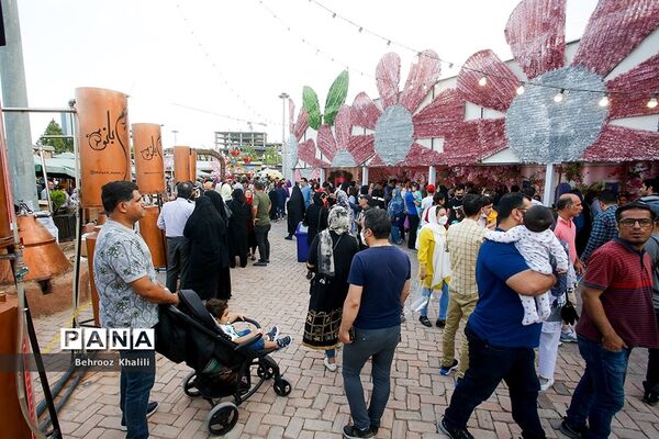 جشنواره گل و گلاب در بوستان آب و آتش